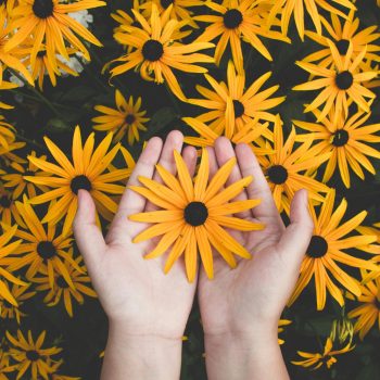 pexels-photo-1697912-1697912 Close-up of hands holding vibrant yellow daisies, showcasing natural beauty and floral pattern.